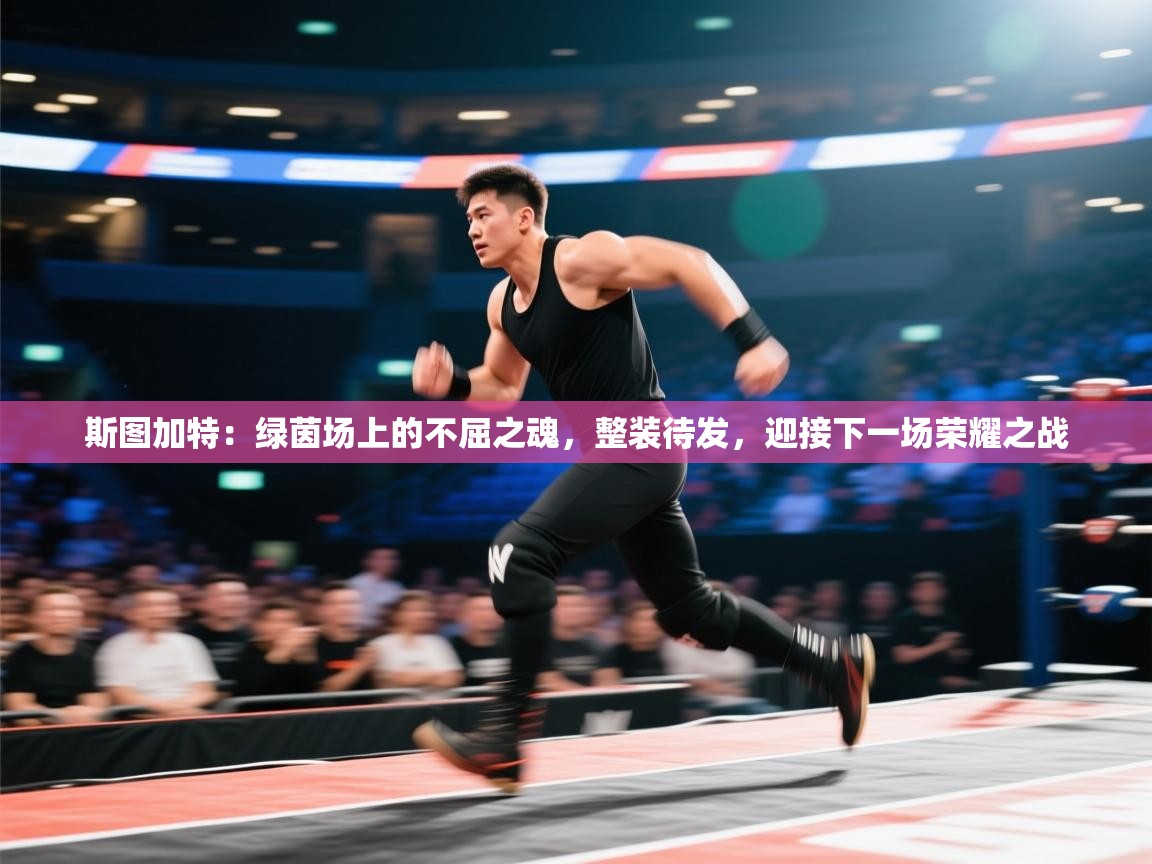 斯图加特：绿茵场上的不屈之魂，整装待发，迎接下一场荣耀之战  第1张