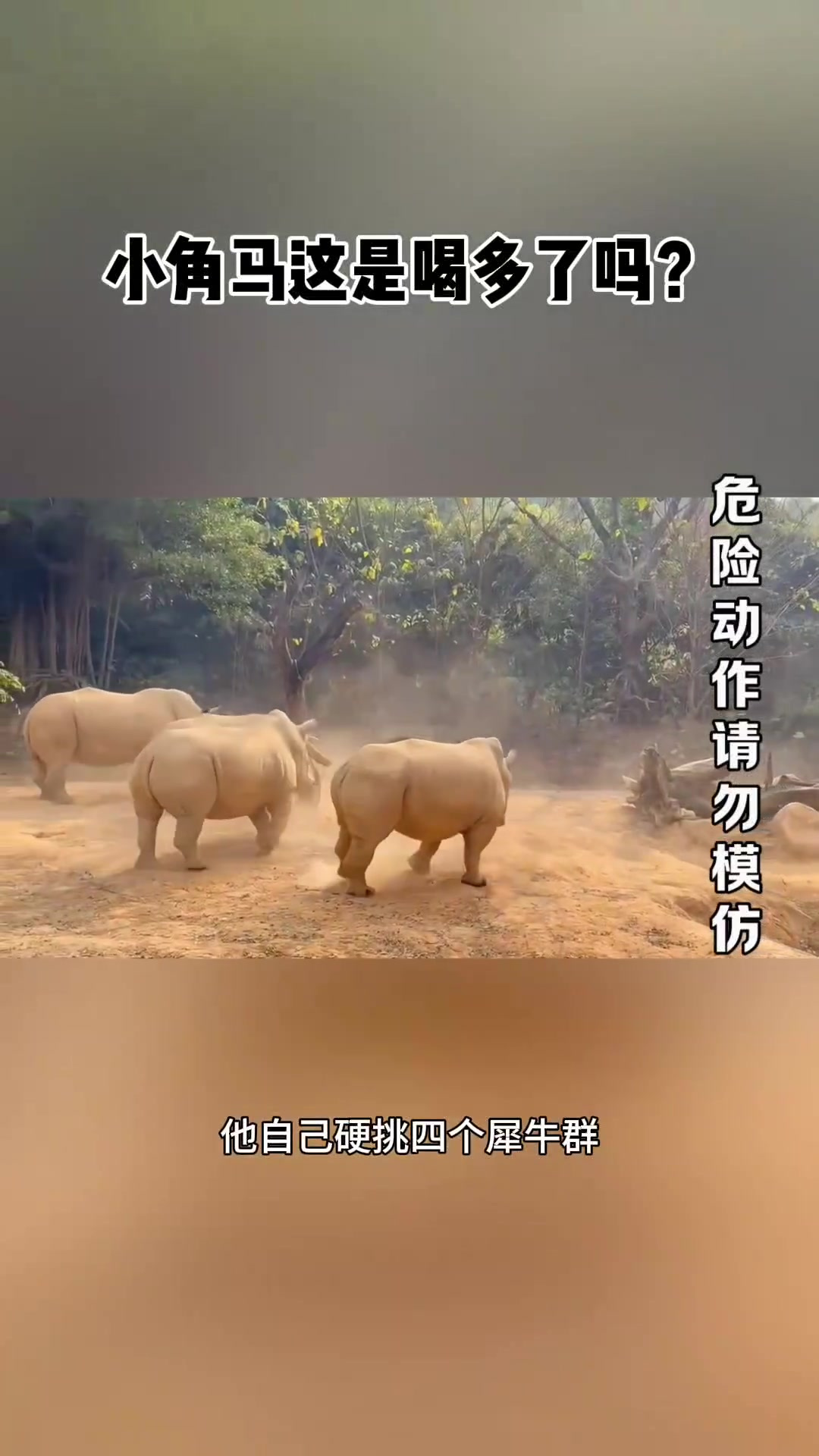 关于蒙特雷队长激励全队，挑战强敌士气高昂的信息